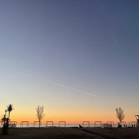 Sea't La Vie * Hamallaj