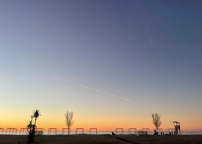 Sea't La Vie * Hamallaj